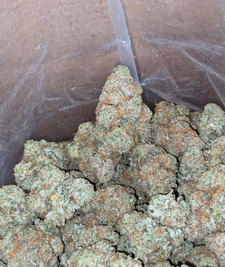 Crunch berry 1 I $ 43 Oz - Crunchberries