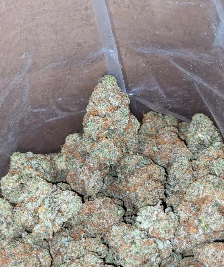 Crunch berry 3 I $ 43 Oz - Crunchberries