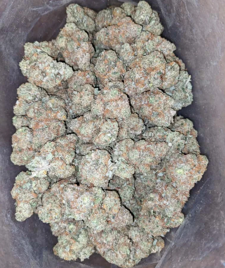 Crunch berry 4 I $ 43 Oz - Crunchberries