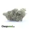 Fire Bubba