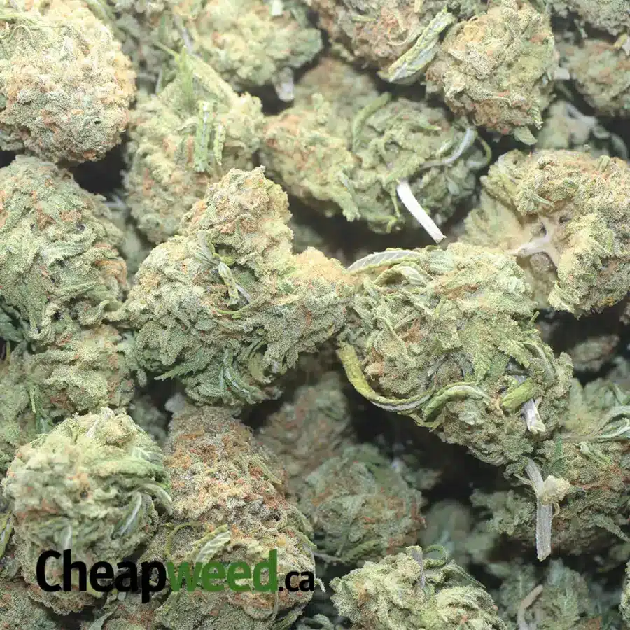 FRUITY PEBBLES 1 I $ 46 Oz - Fruit Pebbles