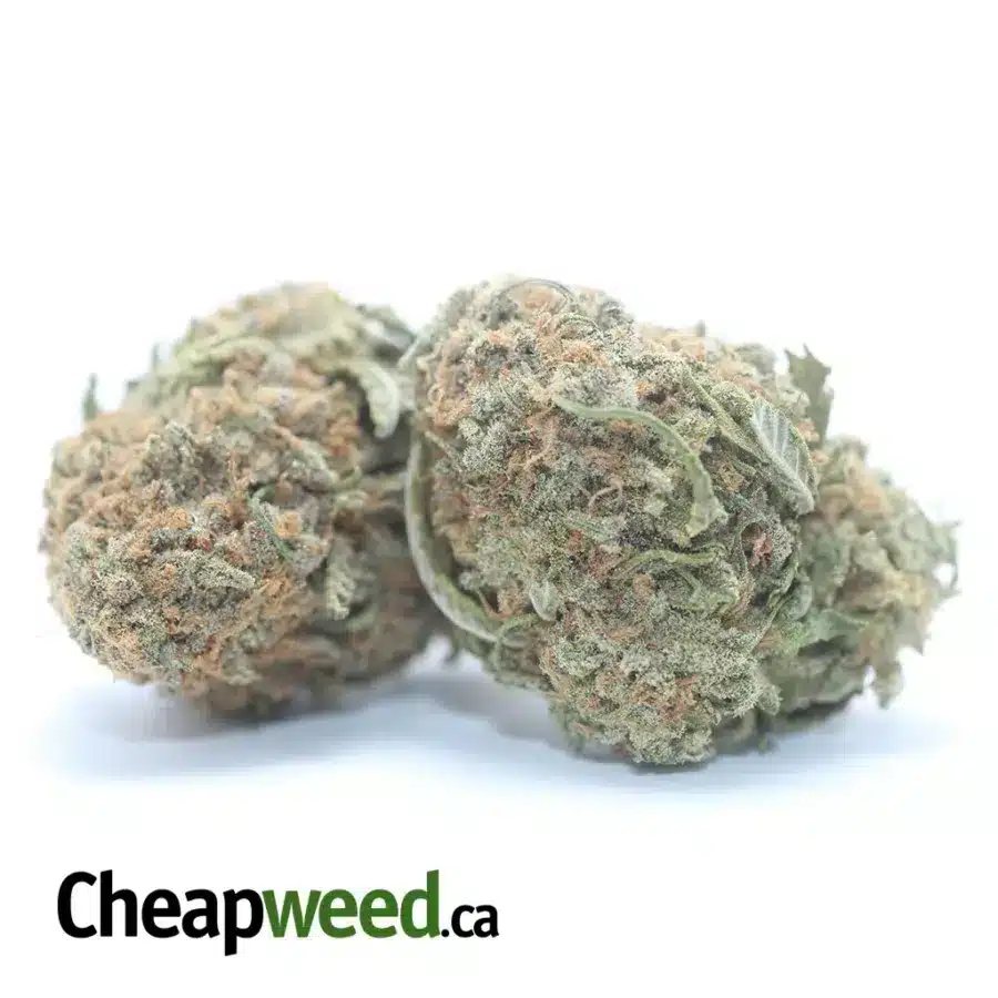 Alternative view of $ 46 Oz - Fruit Pebbles