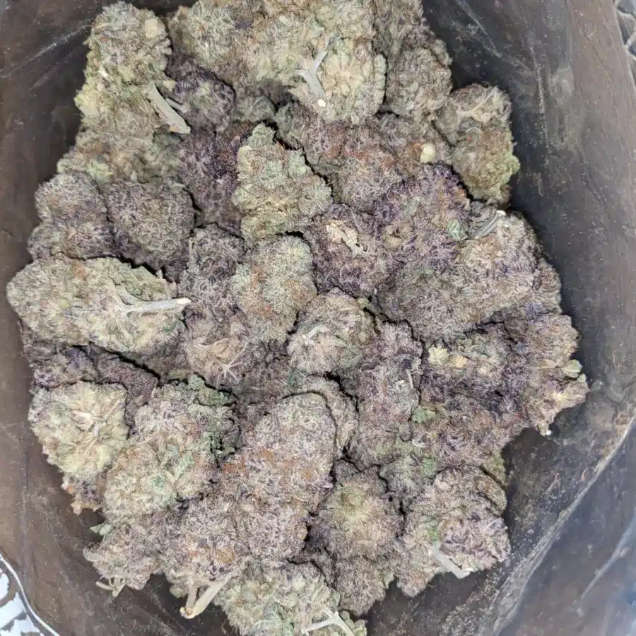 Fruit Loops 1 2 I Fruit Loops