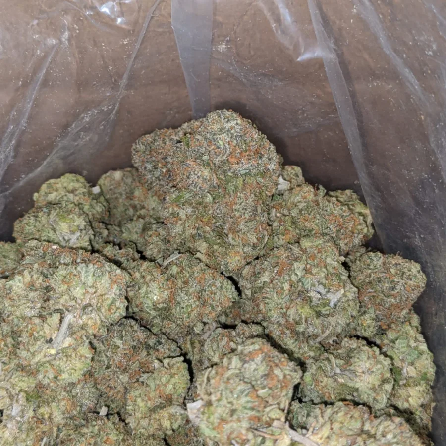 Fruit Pebbles 3 I $ 50 Oz - Fruity Pebbles