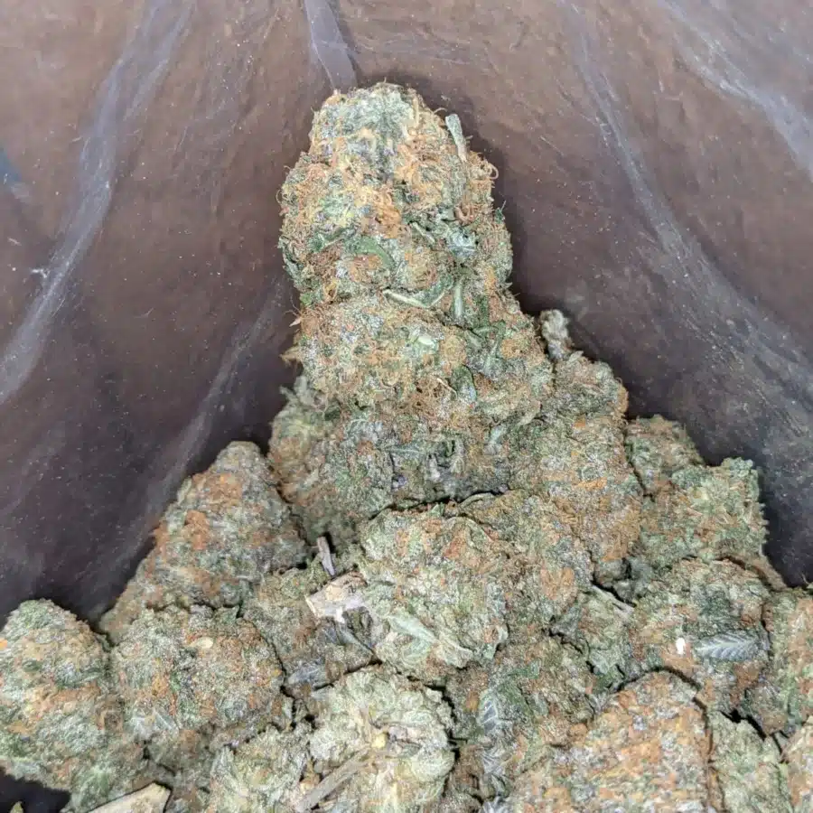 Fruit cake 4 I Fruit Cake