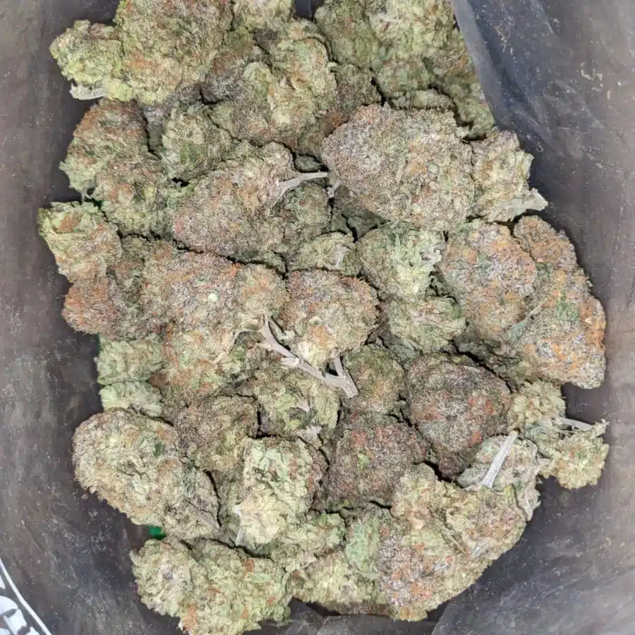 Funky monkey 1 I $ 57 Oz - Funky Monkey
