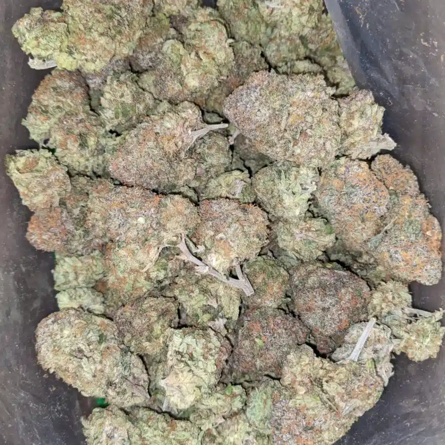 Funky monkey 2 I $ 57 Oz - Funky Monkey