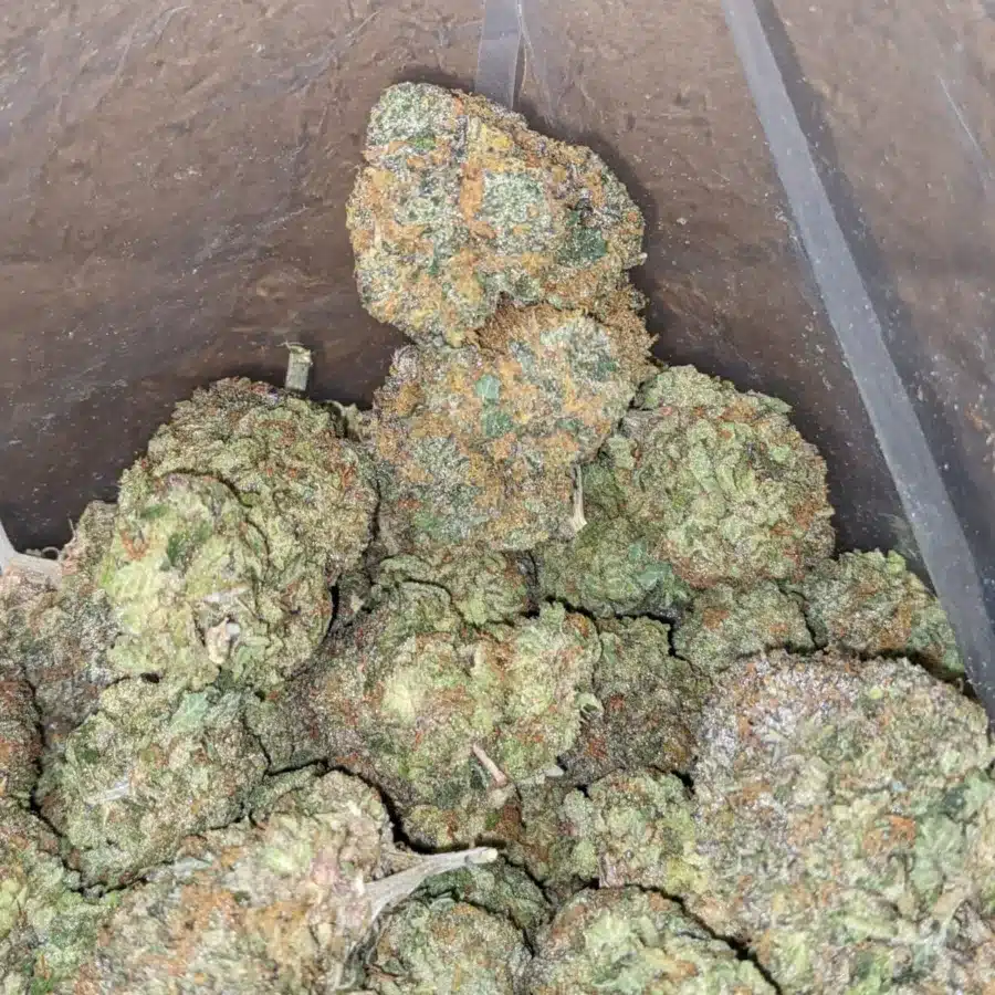 Funky monkey 3 I $ 57 Oz - Funky Monkey
