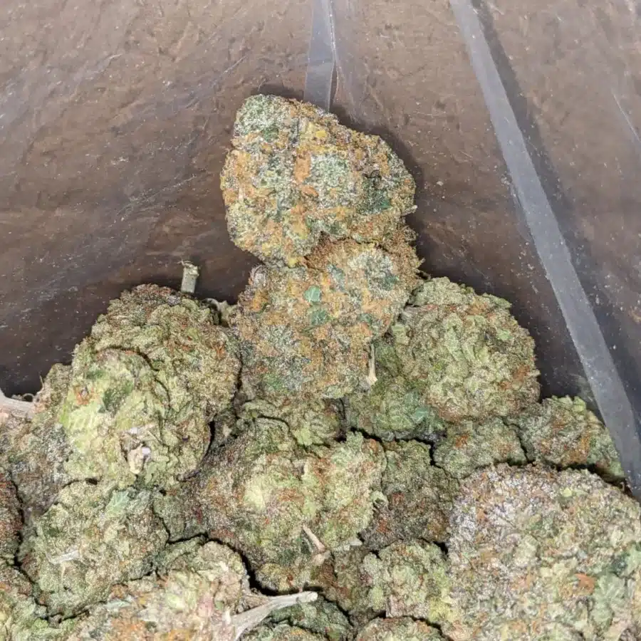 Funky monkey 4 I $ 57 Oz - Funky Monkey