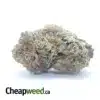 Grapefruit Haze