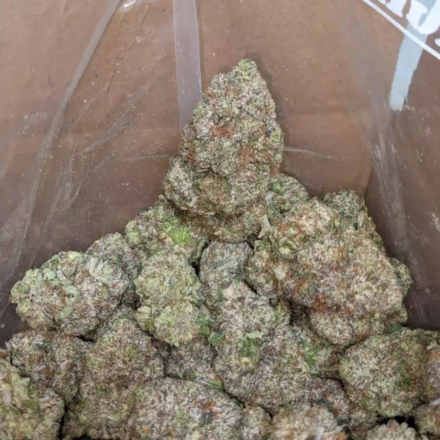 GUCCI PINK 1 I Gucci Pink #2