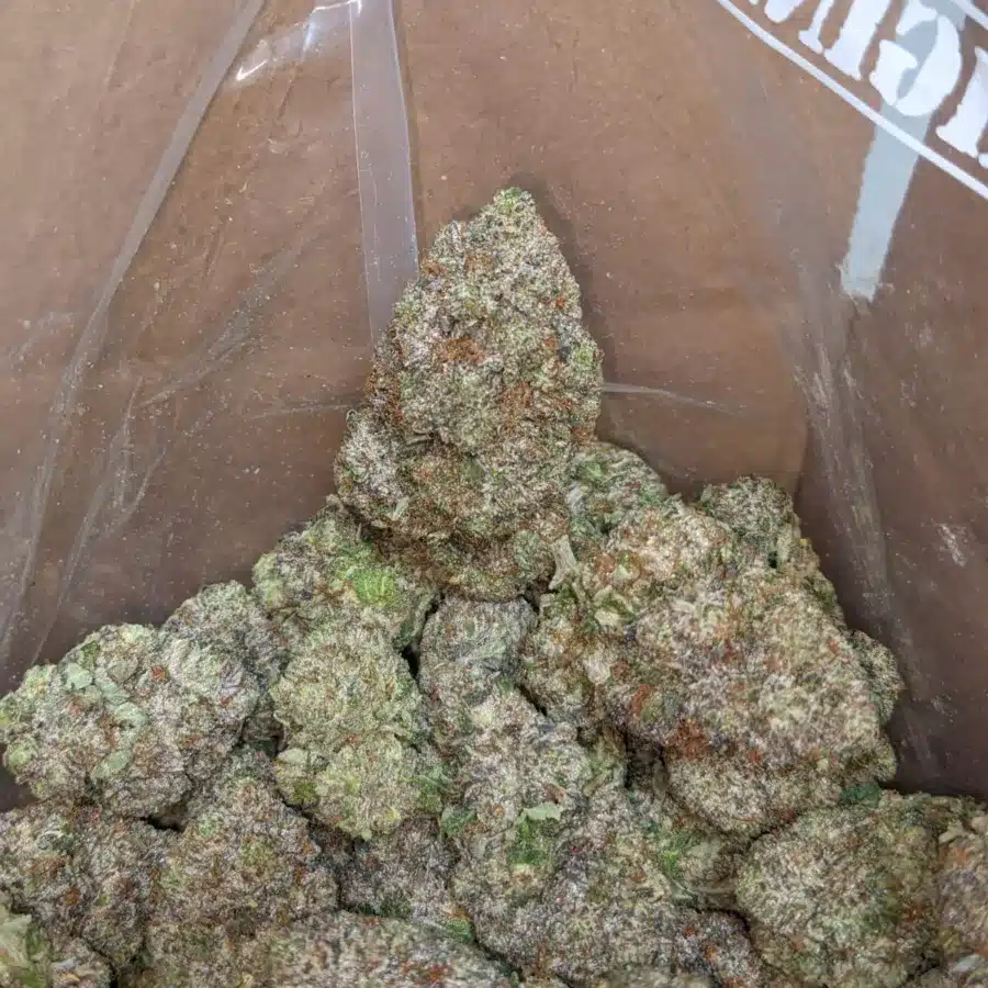 GUCCI PINK 4 I Gucci Pink #2