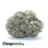 Icewreck