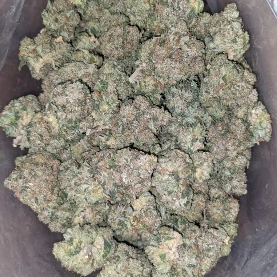 Jedi Kush 1 1 I Jedi Kush