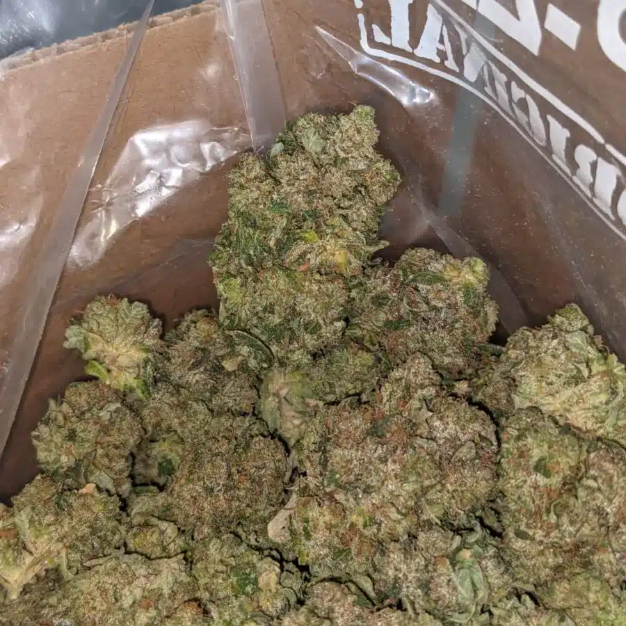 Jedi Kush 2 1 I Jedi Kush