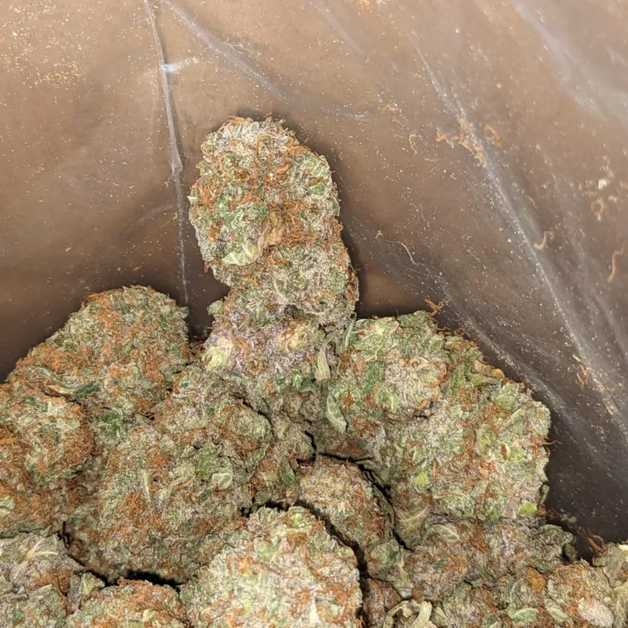 Kosher Kush 1 I Kosher Kush