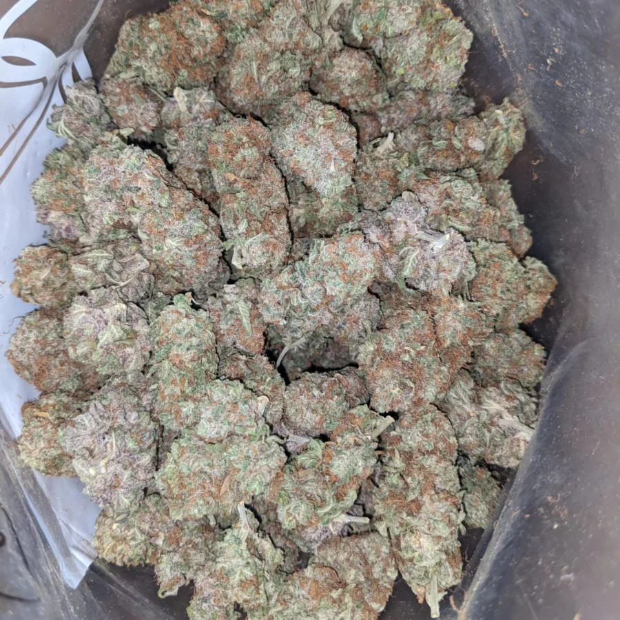 Kosher Kush 2 I Kosher Kush