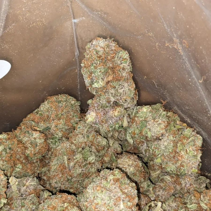 Kosher Kush 3 I Kosher Kush