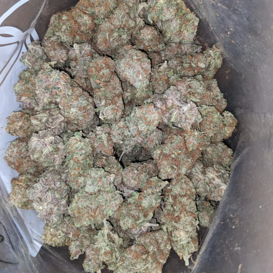 Kosher Kush 4 I Kosher Kush