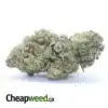 Lemon Breath