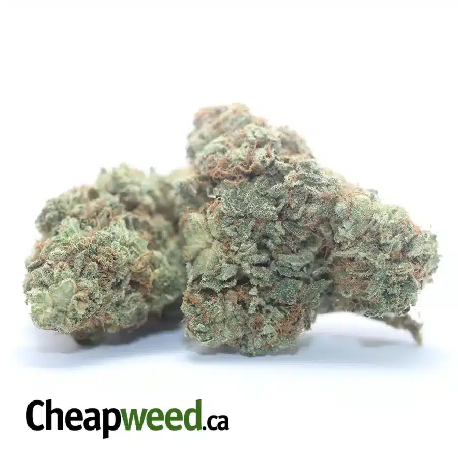 Alternative view of Lemon Breath