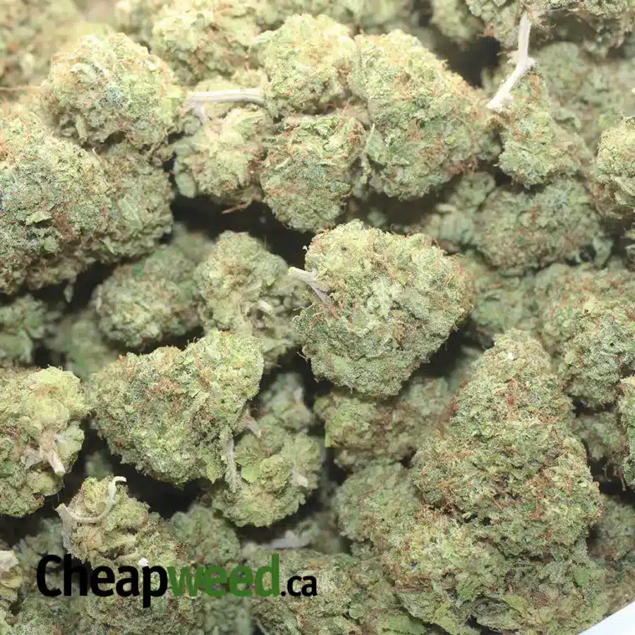 LEMON THAI 1 1 I Lemon Thai