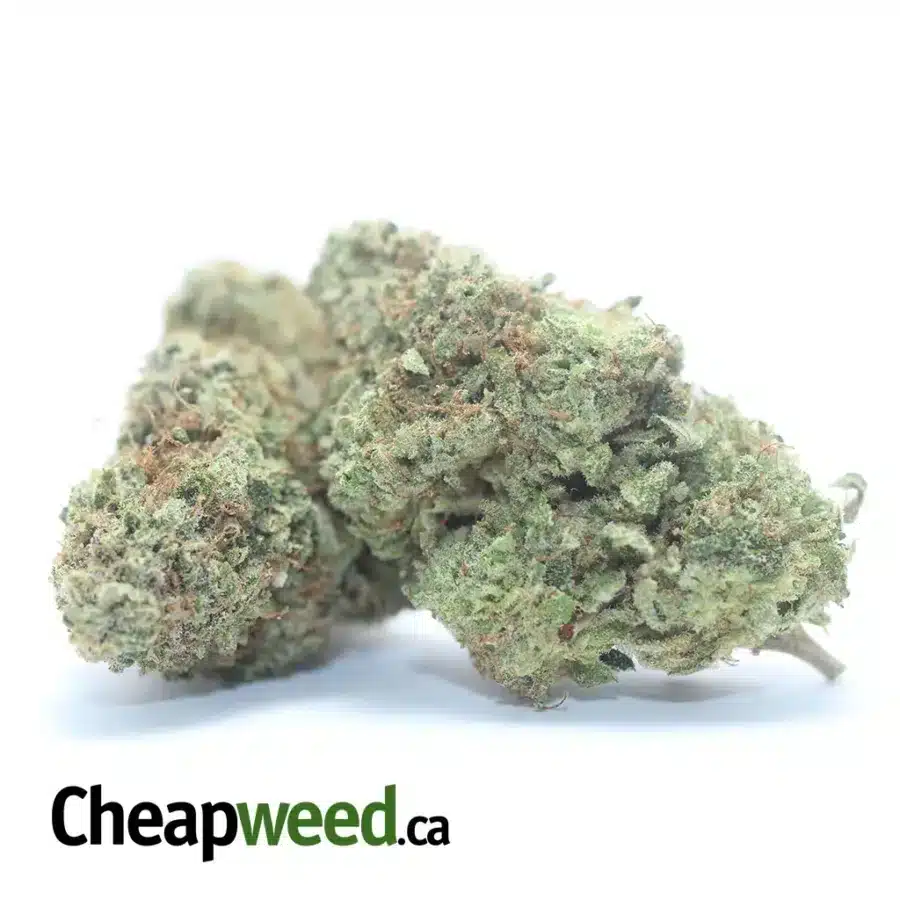 LEMON THAI 3 2 I Lemon Thai