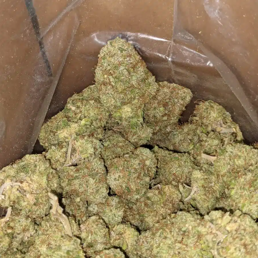 Lemon Thai 1 I Lemon Thai