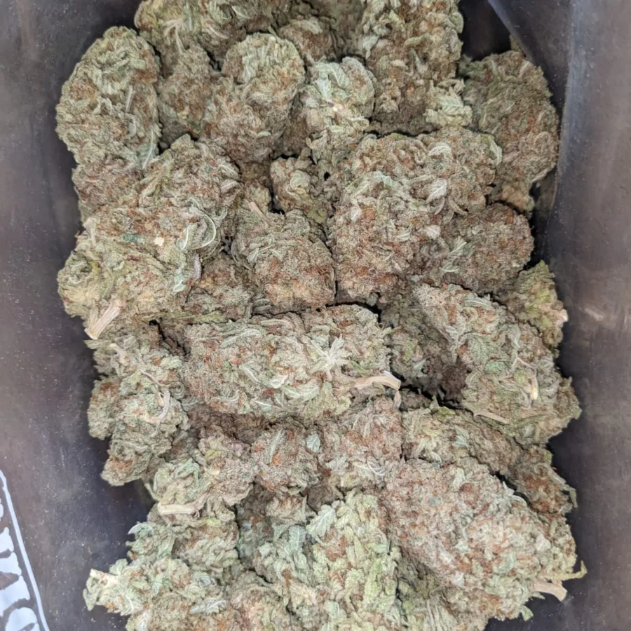 Mac Cheese 1 I $ 40 Oz - Mac N' Cheese