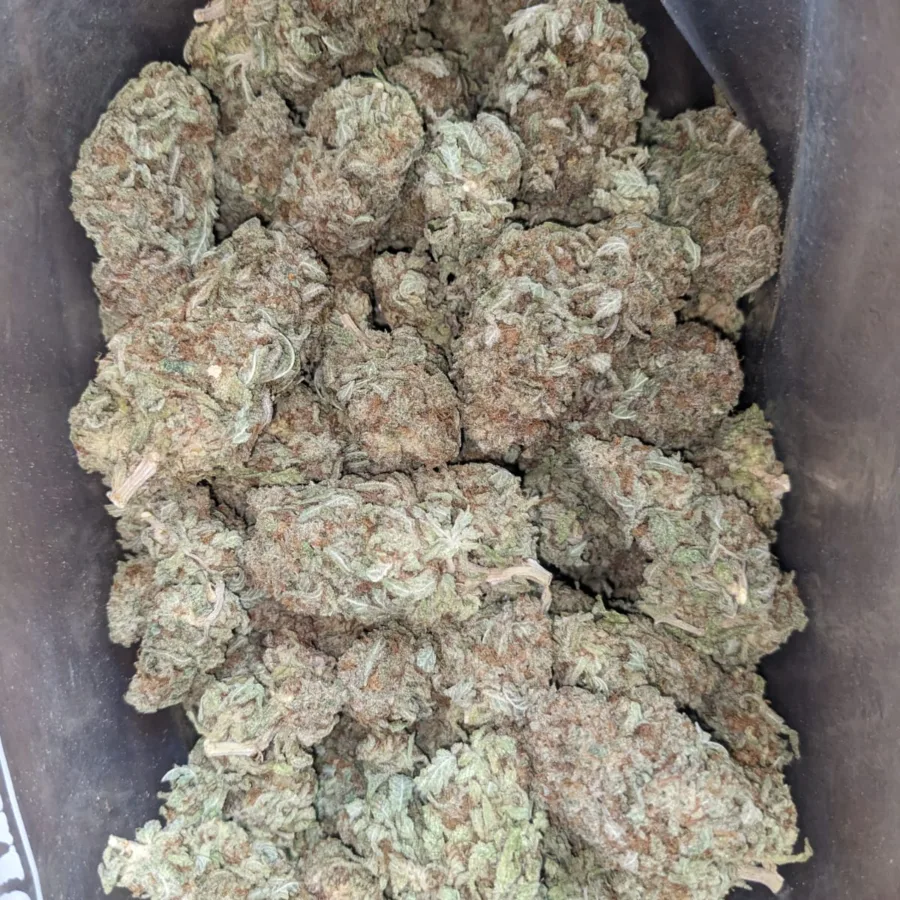 Mac Cheese 2 I $ 40 Oz - Mac N' Cheese