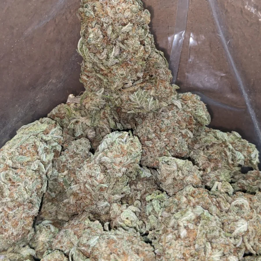 Mac Cheese 3 I $ 40 Oz - Mac N' Cheese