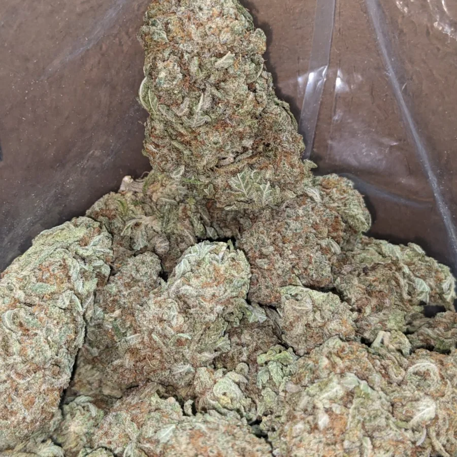 Mac Cheese 4 I $ 40 Oz - Mac N' Cheese