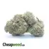 $ 49 Oz - Pineapple