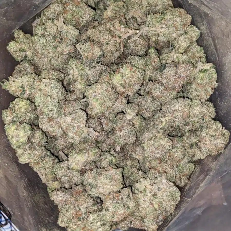 Pink gas 1 I $ 84 Oz - Pink Gas