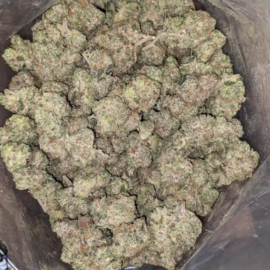 Pink gas 2 I $ 84 Oz - Pink Gas