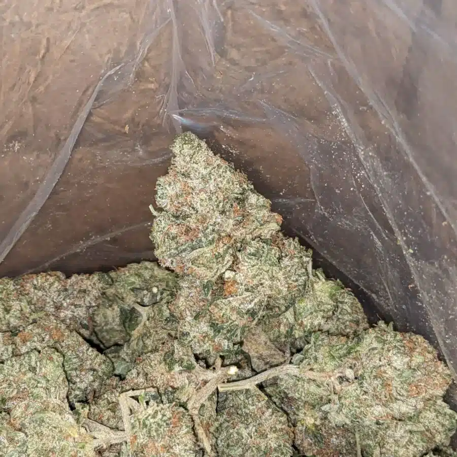 Pink gas 3 I $ 84 Oz - Pink Gas