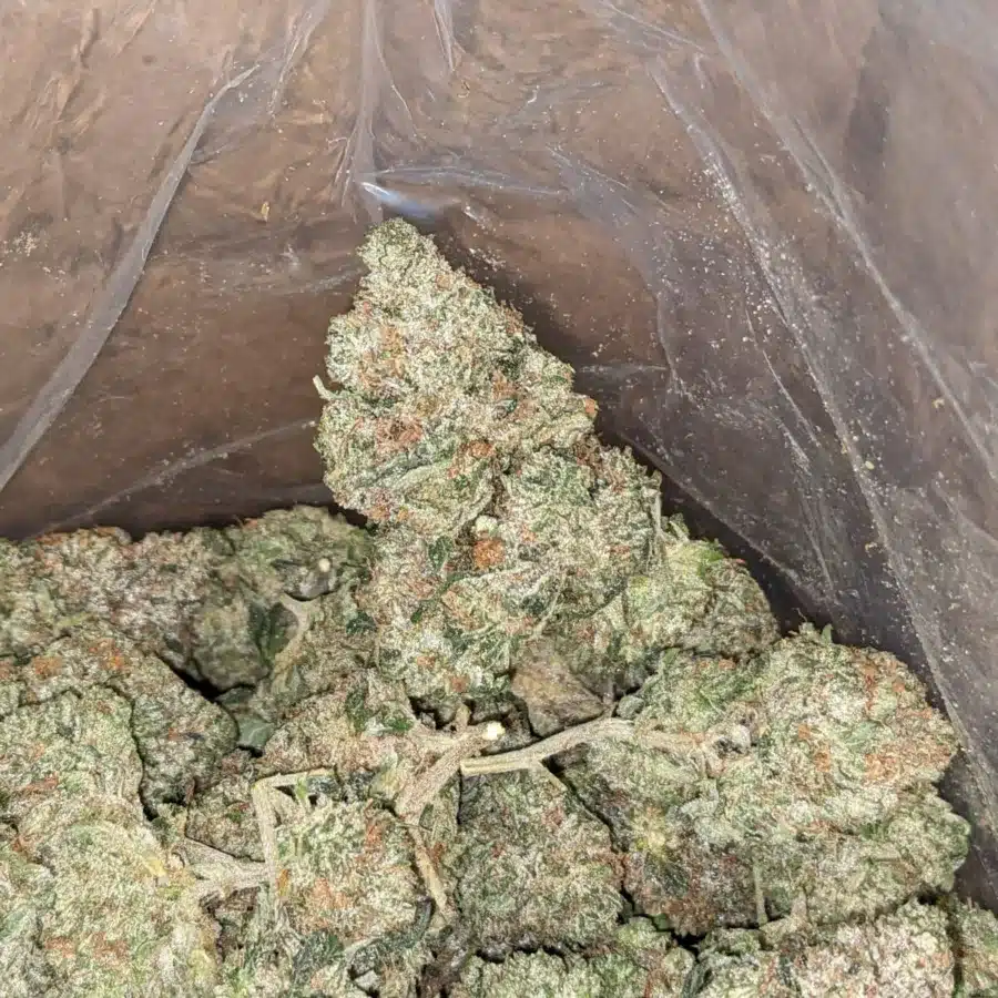 Pink gas 4 I $ 84 Oz - Pink Gas