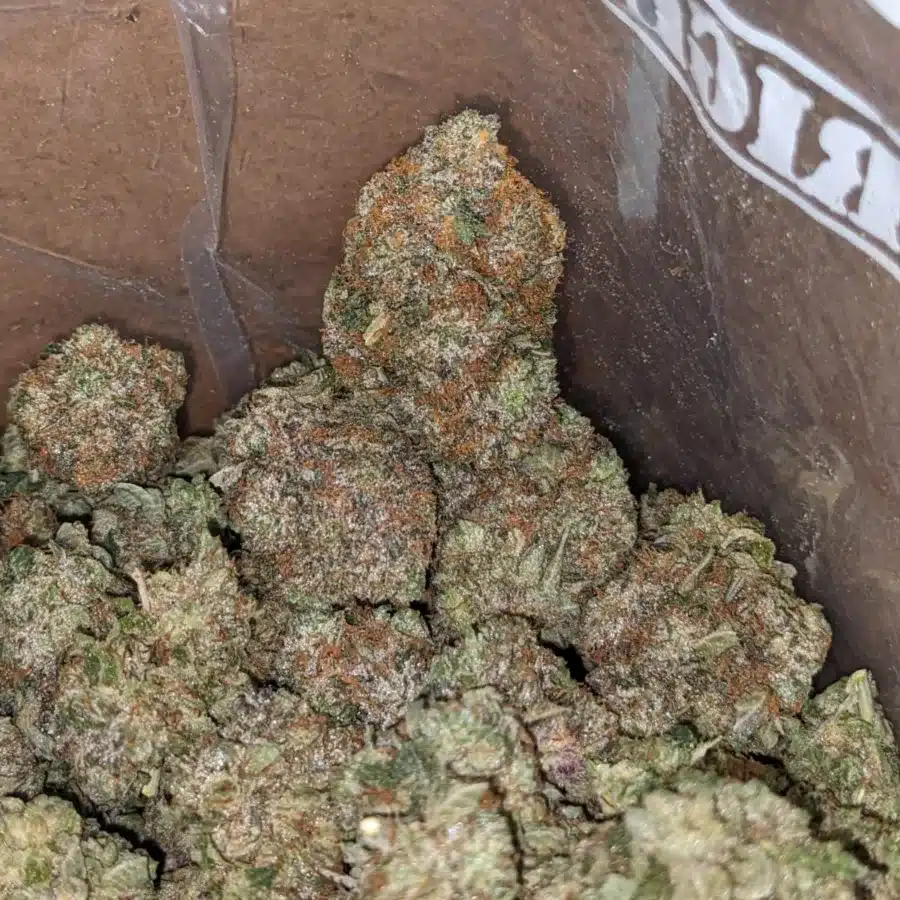 Pink gorilla 3 I Gorilla Pink