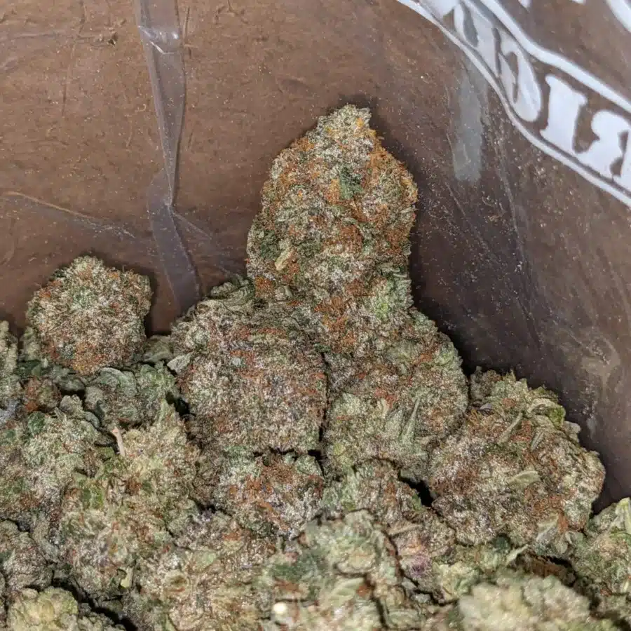 Pink gorilla 4 I Gorilla Pink