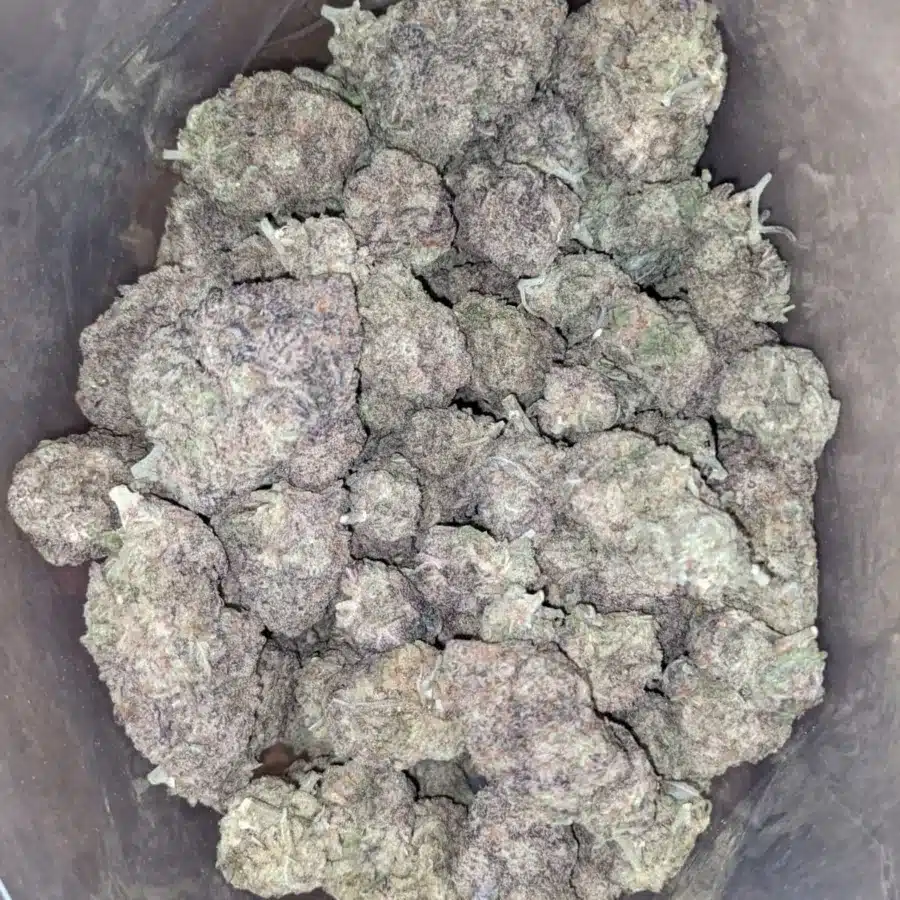Purple Miracle Alien Cookies 2 I Purple Miracle Alien Cookies
