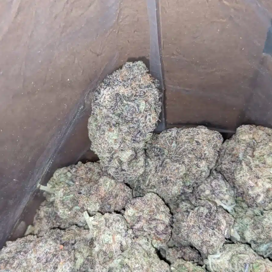 Purple Miracle Alien Cookies 3 I Purple Miracle Alien Cookies