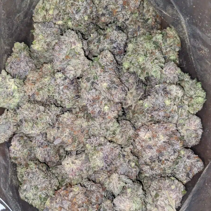 Purple Trainwreck 2 I Purple Trainwreck