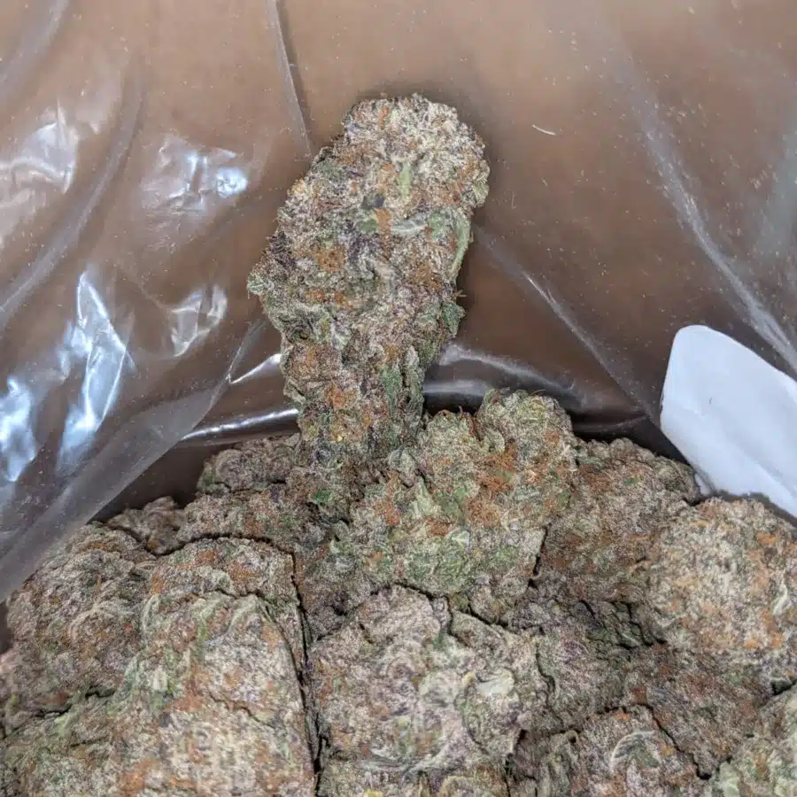 Purple haze 3 I Purple Haze