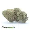 Skunk OG