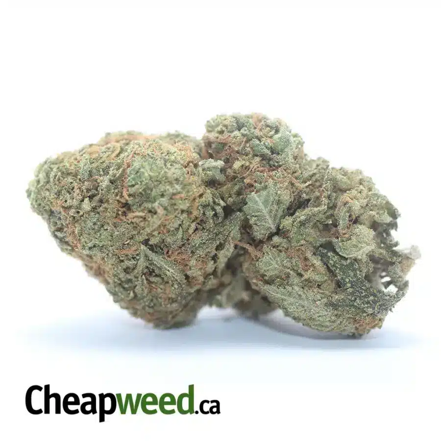 Skunk OG