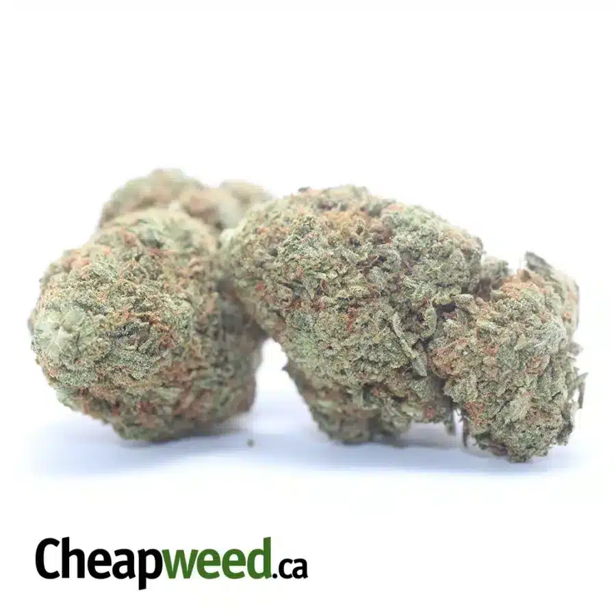 SKUNK OG 3 I Skunk OG