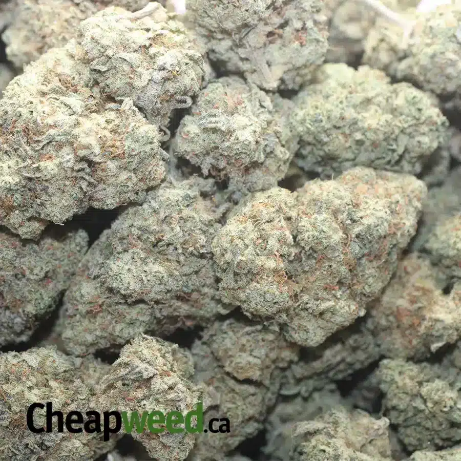 TRIPLE OG 1 1 I Triple OG