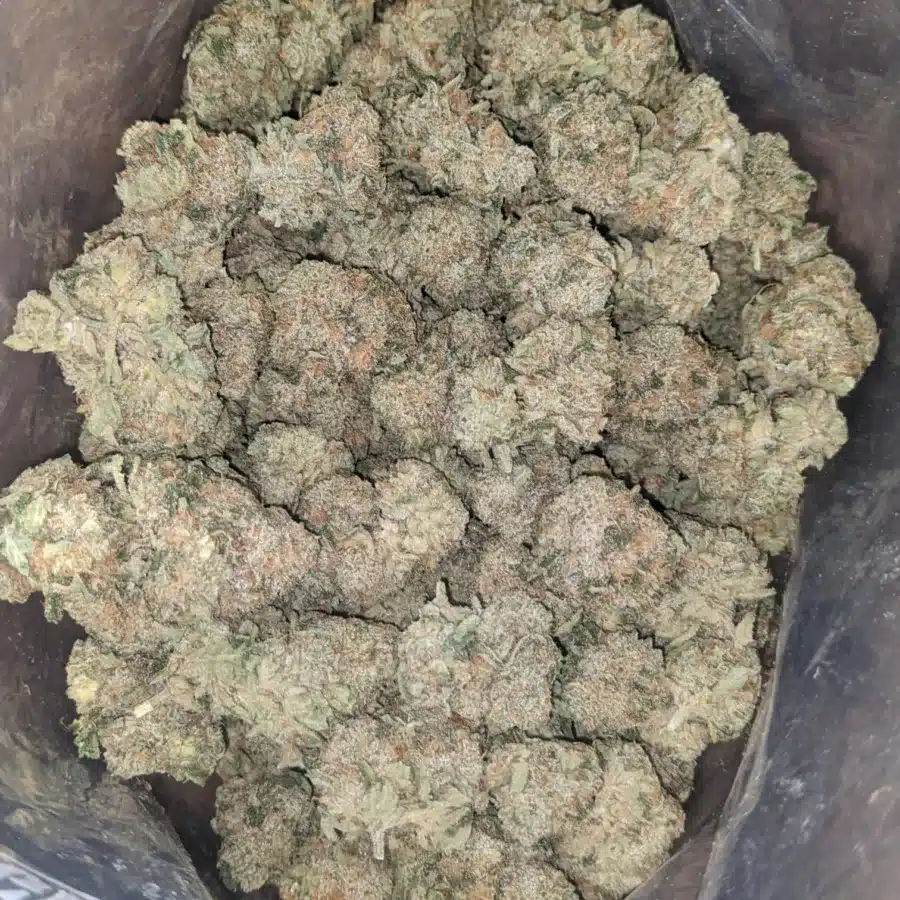 White Fire Og 1 1 I $ 59 Oz - White Fire Og