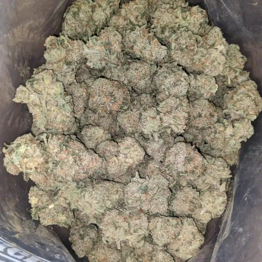 White Fire Og 2 1 I $ 59 Oz - White Fire Og