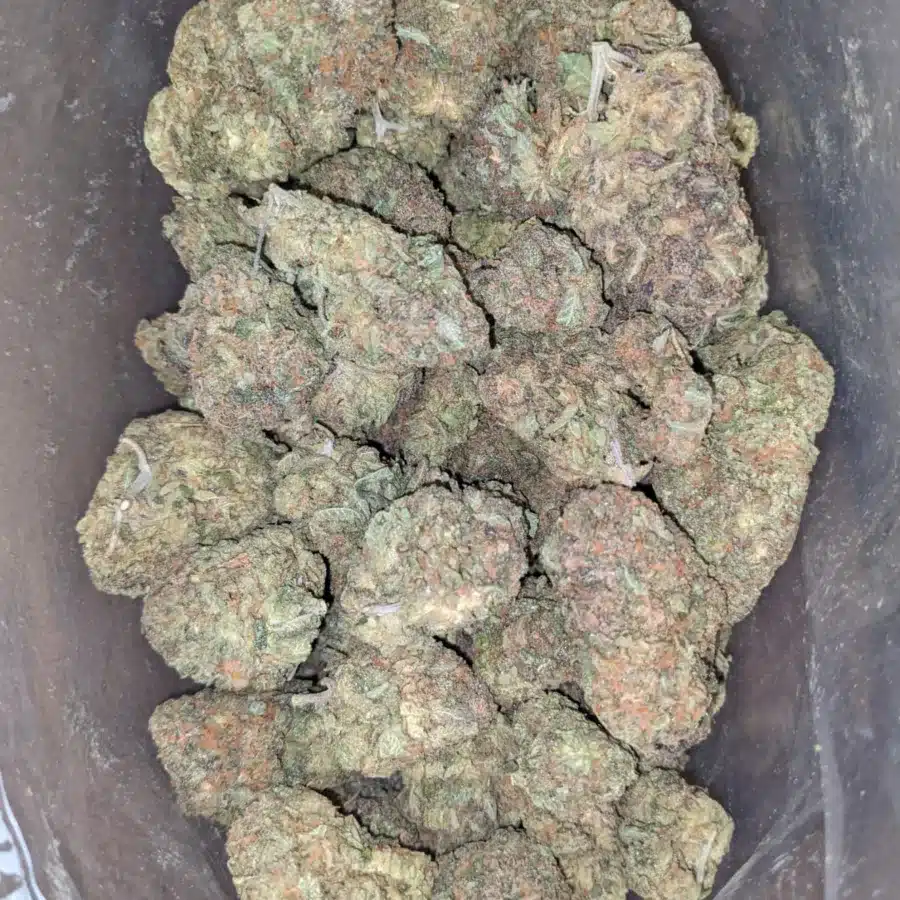 Zkittles 1 I $ 45 Oz - Zkittles